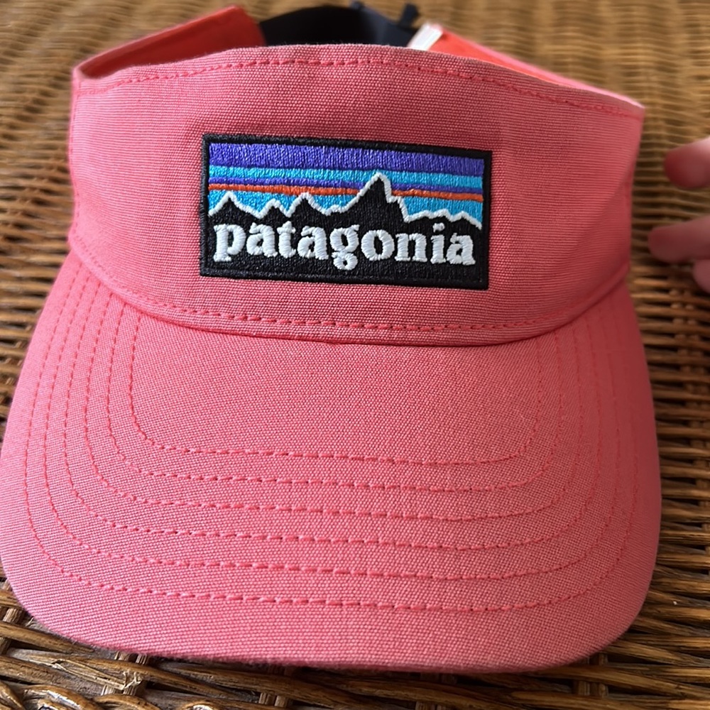 Patagonia Visor